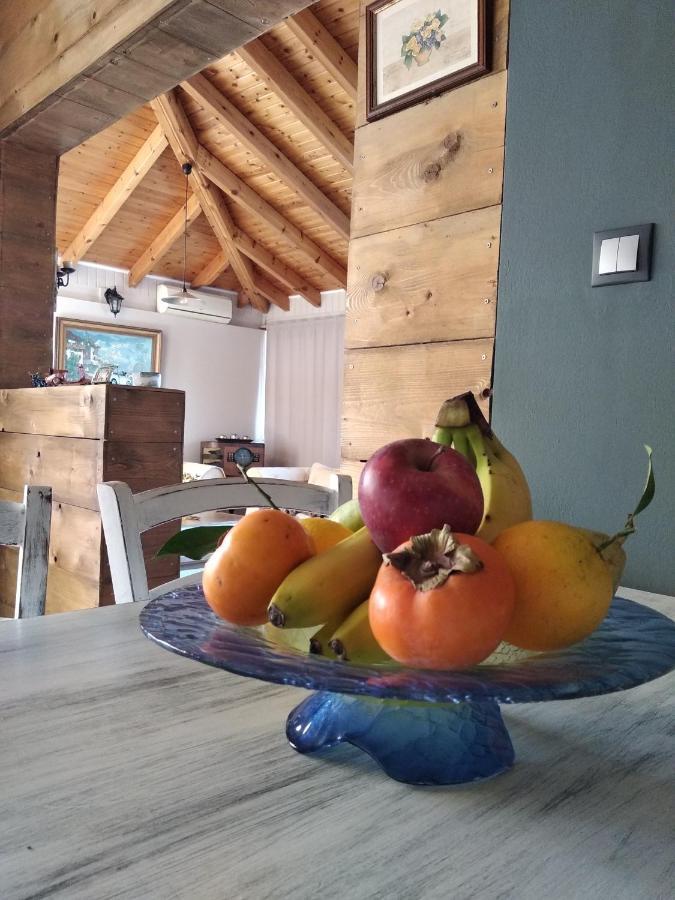 Alternative Country House 10 Minutes From Athens Airport 아르테미다 외부 사진